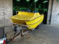 Shark Cat 