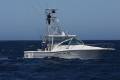 Rampage 33 Express Sportsfish ( Luhrs, Cabo )