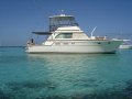 Caribbean/Bertram 42 Flybridge