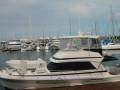 Riviera 43 Flybridge Cruiser