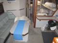 Sea Ray 39