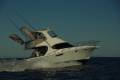 Jackson 47' Image 1