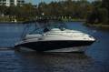 Campion 825 Allante' Image 2